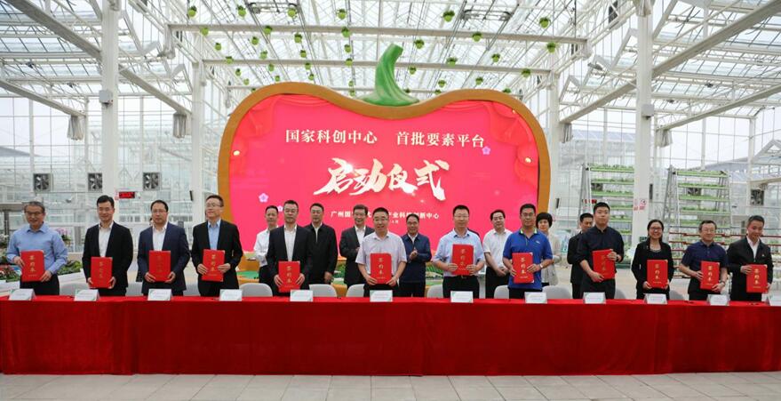 ɳ��(�й�)��վ���޹�˾����