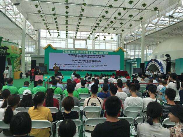 ɳ��(�й�)��վ���޹�˾����