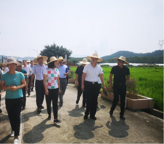 ɳ��(�й�)��վ���޹�˾����