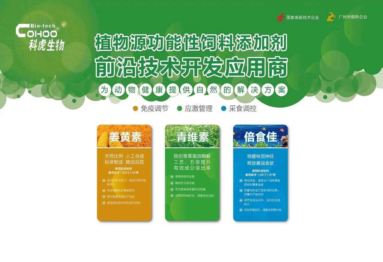 ɳ°Í(Öйú)ÍøÕ¾ÓÐÏÞ¹«Ë¾¹ÙÍø